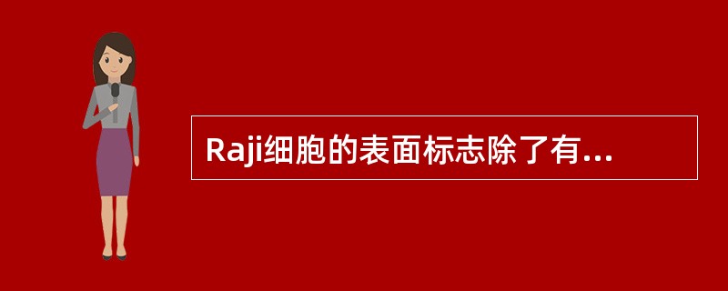 Raji细胞的表面标志除了有C3b受体，没有Smlg外，其他是