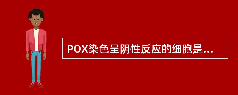 POX染色呈阴性反应的细胞是（　　）。