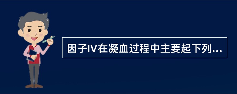 因子Ⅳ在凝血过程中主要起下列哪一个作用？（　　）