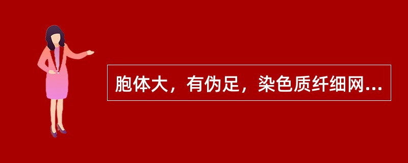 胞体大，有伪足，染色质纤细网状，有核仁，核畸形，有扭曲；胞质呈毛玻璃样，灰蓝，未见颗粒（　　）。