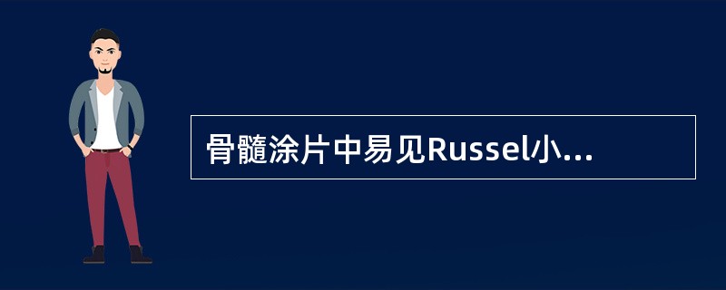 骨髓涂片中易见Russel小体的是（　　）。