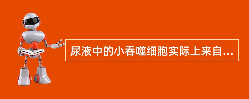 尿液中的小吞噬细胞实际上来自哪种细胞？（　　）