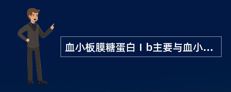 血小板膜糖蛋白Ⅰb主要与血小板哪种功能有关？（　　）
