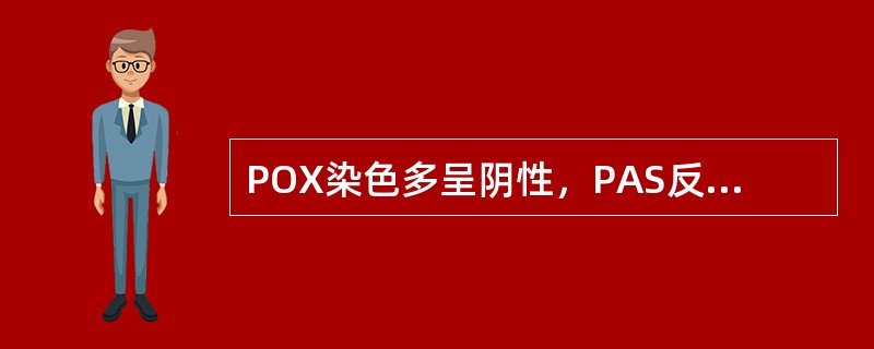 POX染色多呈阴性，PAS反应阳性产物为红色粗颗粒状或块状，底色不红（　　）。