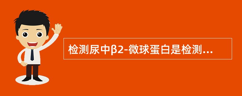 检测尿中β2-微球蛋白是检测（　　）。
