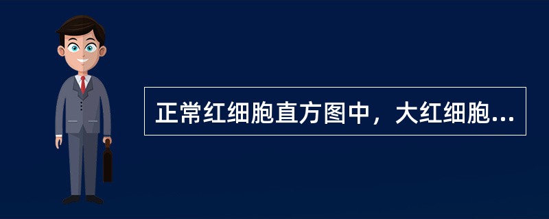 正常红细胞直方图中，大红细胞和网织红细胞分布于（　　）。