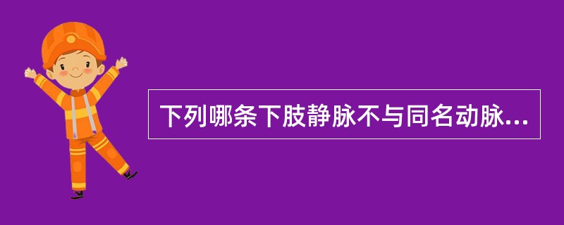 下列哪条下肢静脉不与同名动脉伴行