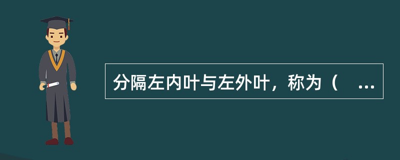 分隔左内叶与左外叶，称为（　　）。