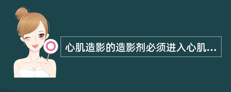 心肌造影的造影剂必须进入心肌内的冠状动脉的细小分支，所以造影剂微气泡直径必须小于（　　）。