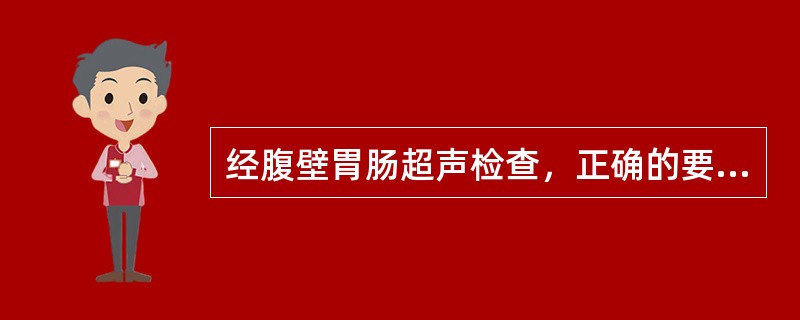 经腹壁胃肠超声检查，正确的要求应是（　　）。