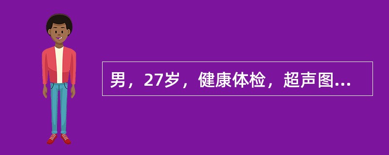 男，27岁，健康体检，超声图中箭头所指为（　　）。<br /><img border="0" style="width: 457px; height: