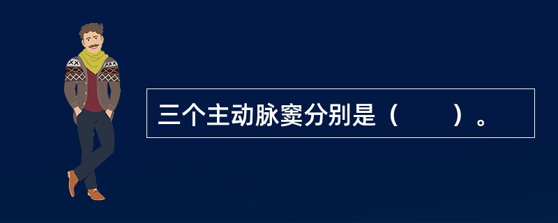 三个主动脉窦分别是（　　）。