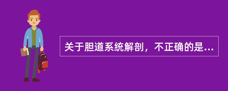 关于胆道系统解剖，不正确的是（　　）。