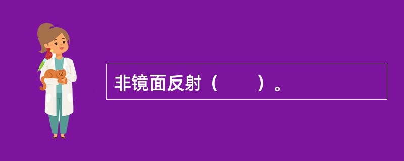 非镜面反射（　　）。