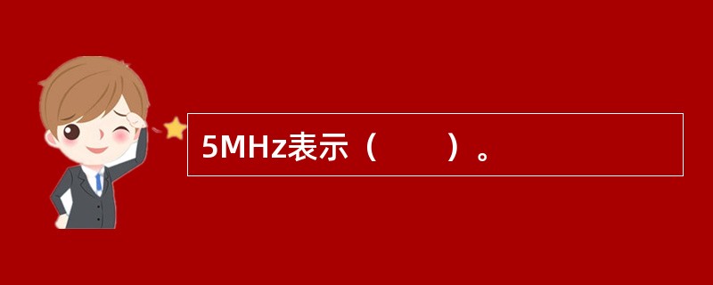 5MHz表示（　　）。