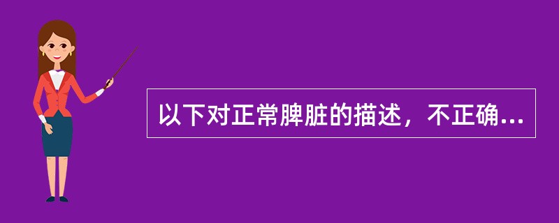 以下对正常脾脏的描述，不正确的是（　　）。