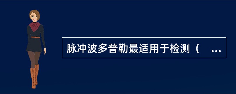 脉冲波多普勒最适用于检测（　　）。