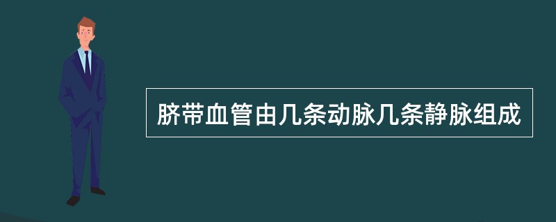 脐带血管由几条动脉几条静脉组成