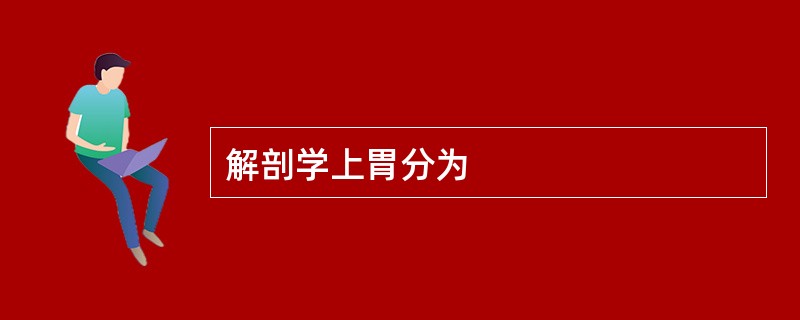解剖学上胃分为