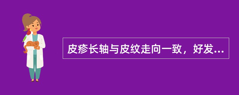 皮疹长轴与皮纹走向一致，好发于躯干及四肢近端的是（　　）。