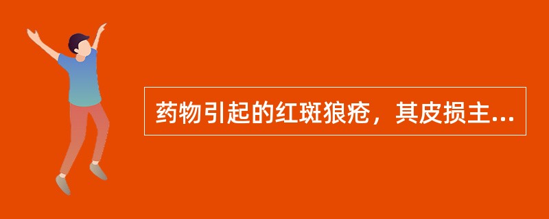 药物引起的红斑狼疮，其皮损主要表现是（　　）。