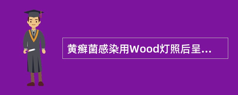 黄癣菌感染用Wood灯照后呈（　　）。 