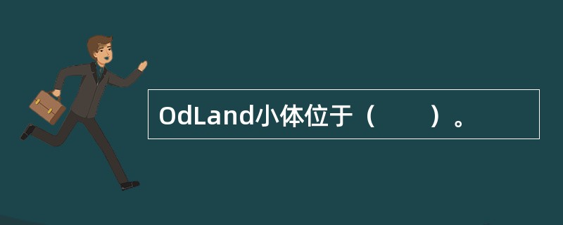 OdLand小体位于（　　）。
