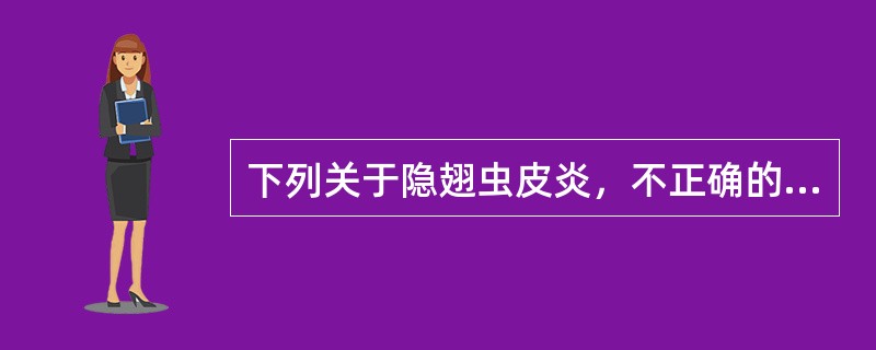 下列关于隐翅虫皮炎，不正确的是（　　）。