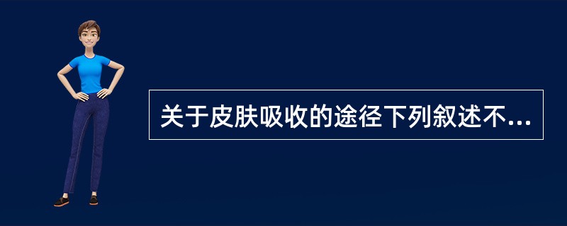 关于皮肤吸收的途径下列叙述不正确的是（　　）。