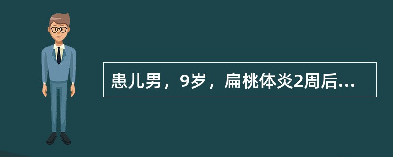 患儿男，9岁，扁桃体炎2周后出现水肿、少尿，尿色似"冰红茶"，3天后出现无尿、头晕、头痛，急诊入院。体检：体温37.8℃，血压146/98mmHg，精神烦躁，眼睑及双下肢水肿明显，