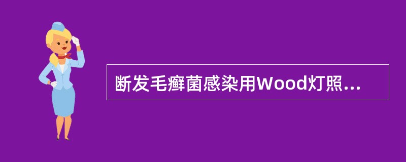 断发毛癣菌感染用Wood灯照后呈（　　）。 