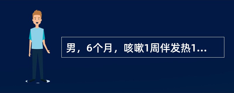 男，6个月，咳嗽1周伴发热1天。查体：呼吸60次/分，口周青，双肺闻中小水泡音，心率180次/分，肝肋下3.5cm，胸片：双下肺模糊片影，心胸比例0.65。最可能的诊断