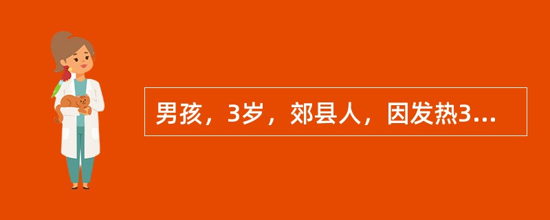 男孩，3岁，郊县人，因发热3天，头痛，喷射性呕吐4次，神萎，嗜睡，1995年8月就诊。体检：体温39.8℃，神志清，神萎，入睡状，咽充血，颈有抵抗，心肺无异常。腹软，提睾反射未引出，膝反射亢进，克氏征
