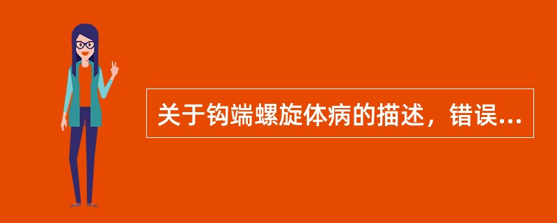 关于钩端螺旋体病的描述，错误的是