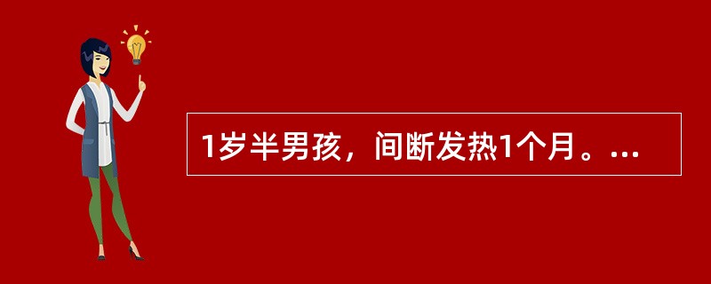 1岁半男孩，间断发热1个月。体检：颈淋巴结肿大如蚕豆大，肝肋下5cm，脾肋下4cm，血红蛋白77g／L，白细胞31×109／L，血小板48×109／L()