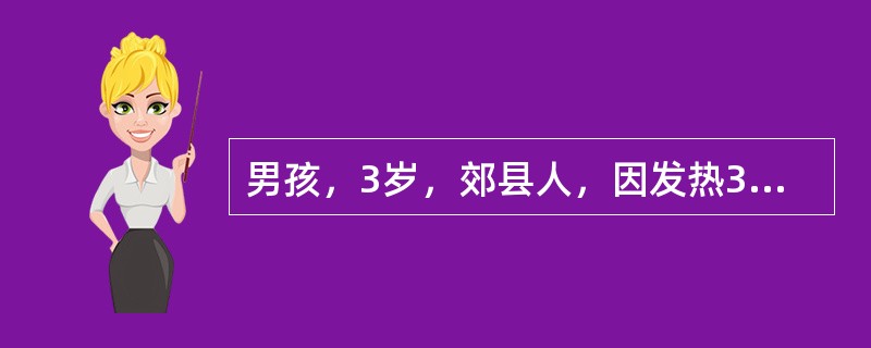 男孩，3岁，郊县人，因发热3天，头痛，喷射性呕吐4次，神萎，嗜睡，1995年8月就诊。体检：体温39.8℃，神志清，神萎，入睡状，咽充血，颈有抵抗，心肺无异常。腹软，提睾反射未引出，膝反射亢进，克氏征