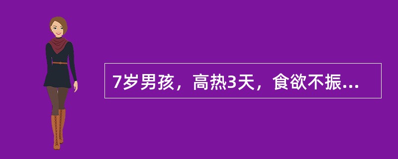 7岁男孩，高热3天，食欲不振，流涎。查体：T38.6℃，咽部充血，软腭部可见数个疱疹及溃疡，腹平软，心肺无异常。本题最可能的诊断为