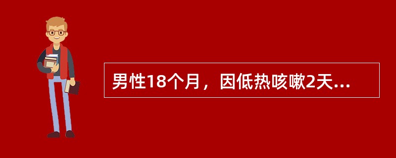 男性18个月，因低热咳嗽2天、气喘1天入院。体格检查：T37.7℃，咽充血，两肺满布哮鸣音，及中小水泡音，心率110次/分，未闻杂音。对本例的诊断最可能是（　　）。