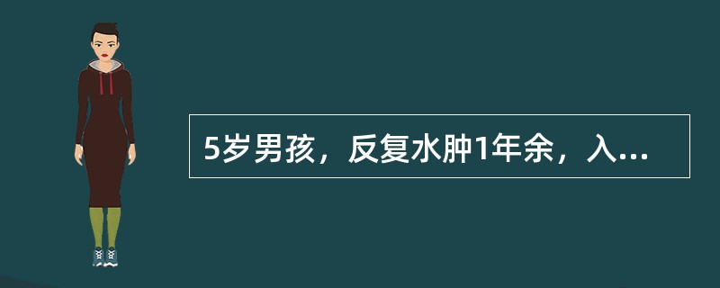 5岁男孩，反复水肿1年余，入院后查：尿蛋白(++～+++)，红细胞(0～10)个/HP，血尿素氮15mmol/L，血浆总蛋白为42g/L，白蛋白15g/L，本例患儿诊断首先考虑（　　）。