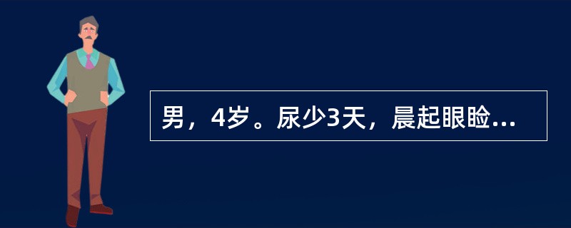 男，4岁。尿少3天，晨起眼睑水肿，下肢凹陷性水肿，查尿蛋白（+++），红细胞0～3个/HP，BP100/70mmHg，最可能的诊断是