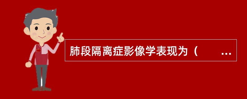 肺段隔离症影像学表现为（　　）。