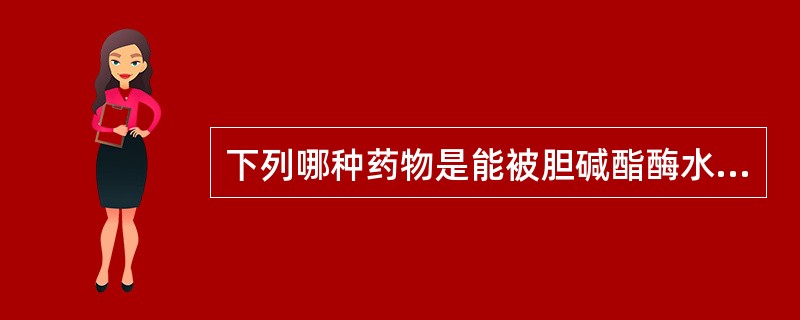 下列哪种药物是能被胆碱酯酶水解的麻醉镇痛药？（　　）