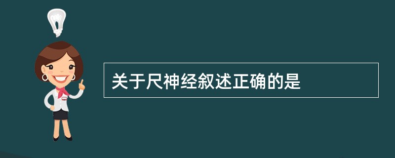 关于尺神经叙述正确的是