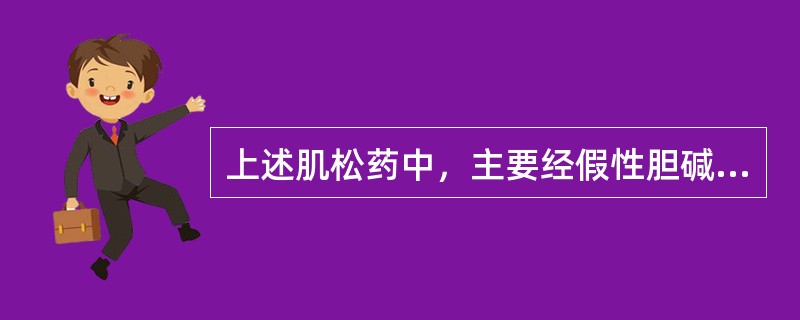 上述肌松药中，主要经假性胆碱酯酶水解代谢的是