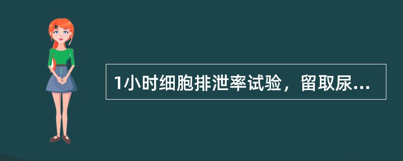 1小时细胞排泄率试验，留取尿标本时间为（）