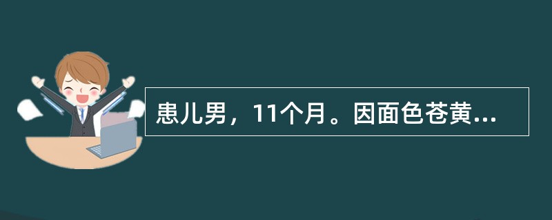 患儿男，11个月。因面色苍黄、智力发育倒退1个月，发热、咳嗽3天就诊。营养发育史：3～4个月能抬头，现11个月不能独坐，不会爬。面部表情呆滞。人工喂养，未添加辅食。查体：生长发育可，体重7.5kg，表