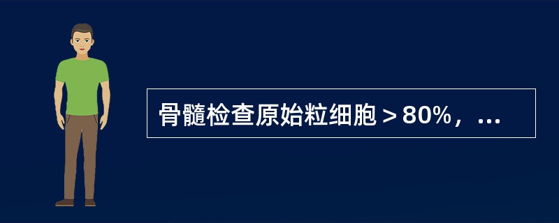 骨髓检查原始粒细胞＞80%，早幼粒细胞＞12%，诊断为（　　）。