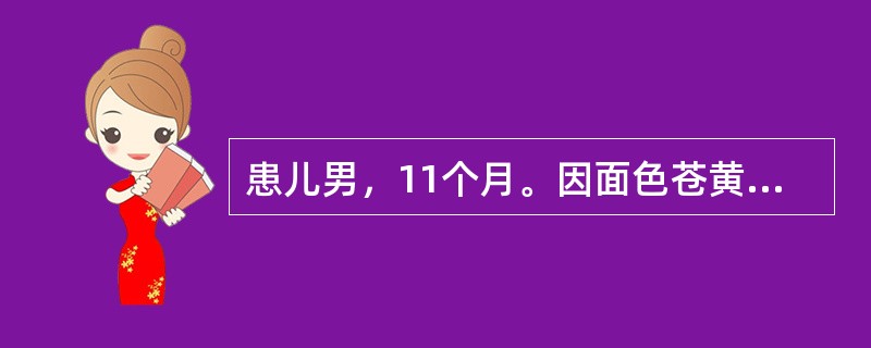 患儿男，11个月。因面色苍黄、智力发育倒退1个月，发热、咳嗽3天就诊。营养发育史：3～4个月能抬头，现11个月不能独坐，不会爬。面部表情呆滞。人工喂养，未添加辅食。查体：生长发育可，体重7.5kg，表