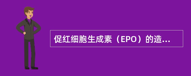 促红细胞生成素（EPO）的造血作用不包括（　　）。