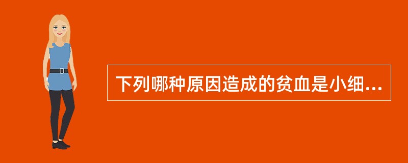 下列哪种原因造成的贫血是小细胞性贫血？（　　）